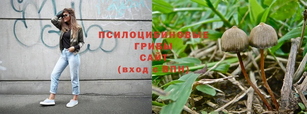 трава Белоозёрский