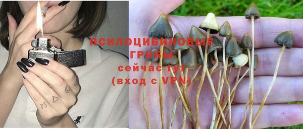 экстази Белокуриха