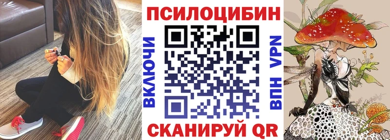 гидра вход  даркнет сайт  Кораблино  Псилоцибиновые грибы Psilocybine cubensis 