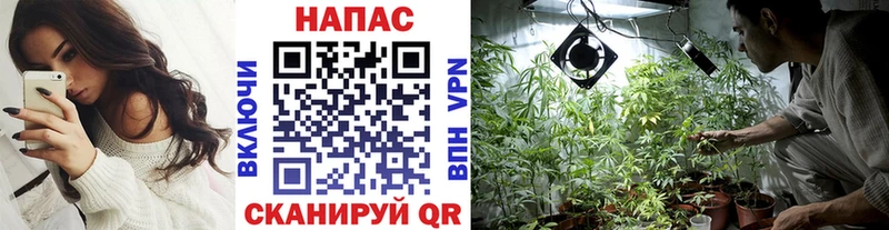 Марихуана Ganja Кораблино